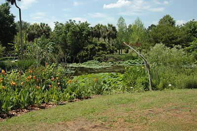 A pond with a naturalized shoreline in Kanapaha Gardens