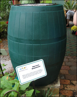 Rain barrel at the International Flower Show at Epcot