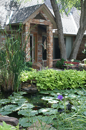 entryway to home as seen from its shady plant-filled water garden