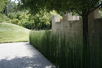 An austere gravel path with a horsetail grass border along a plain concrete wall
