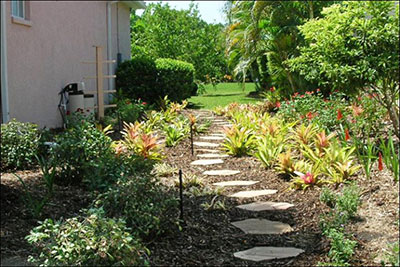 A Florida-Friendly side yard garden