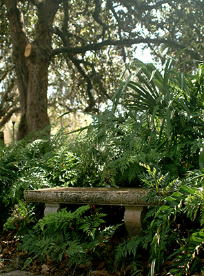 A moss-covered, ornate concrete bench in a ferny shady garden