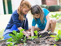 Two girls work in plant bed of a school garden