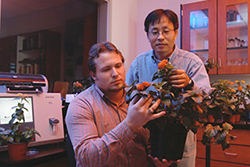 Two men look at a flowering lantana plant in a lab