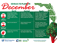 Edibles to Plant in December graphic