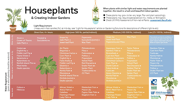 A color table listing suggested houseplants group by light needs