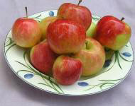 TropicSweet apples