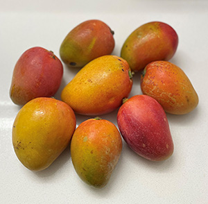 Eight pink-orange mangoes