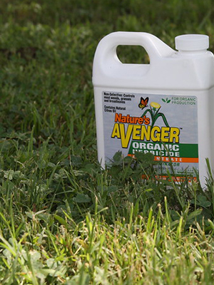 White plastic bottle of organic herbicide sitting on grass