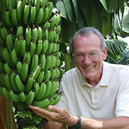 Don Bananaman Ingram