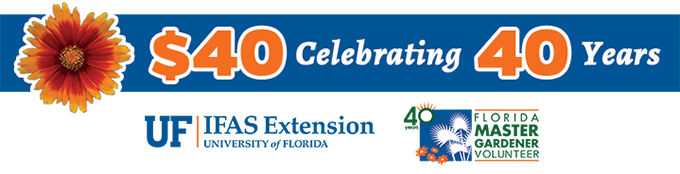A graphic with the 40 for 40 headline, an illustration of a coreopsis flower, the UF/IFAS Extension logo, and the Master Gardener Volunteer 40th anniversary logo