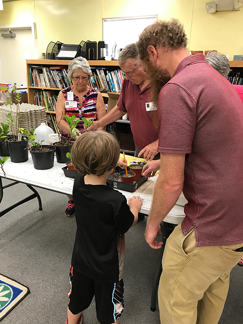 Adults and one small boy working with plants in a classroom