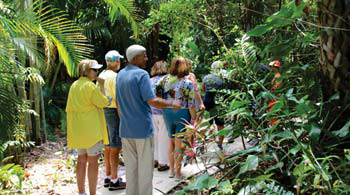 Several people walk through tropical style landscape