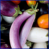 Long, thin, light purple eggplants, on top of other eggplants, some dark purple, some white, and even some that are orange