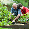 A man and boy working in a raised bed full of plants