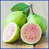 Three small green guava fruits with one cut open to reveal pink flesh