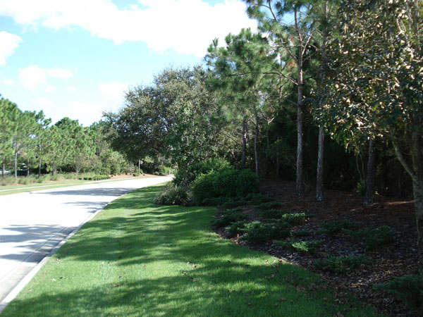 Lakewood Ranch roadside a year later