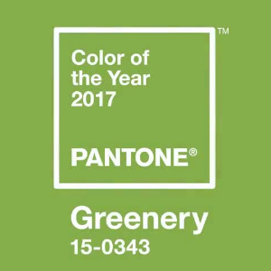 Pantone's 2017 Color of the Year is Greenery, 15-0343, a light green with a hint of yellow
