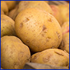 Round, thin-skinned white potatoes, photo by Lance Cheung USDA
