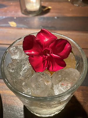 A bright red simple flower sitting in a iced drink