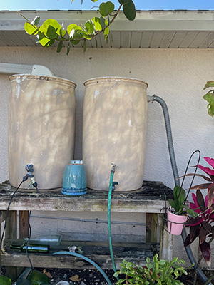 Two rain barrels painted to blend in to the home's wall, on a wooden table in a side yard, a gutter drain attached to one of the barrels.