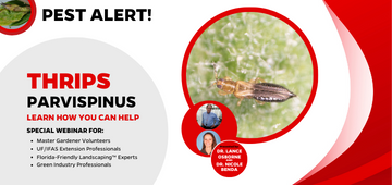 Graphic promoting the special webinar on thrips parvispinus, a new pest for Florida
