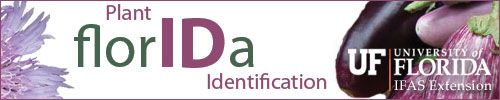  Plant ID Quiz logo 