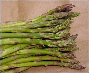 Edible spears of asparagus