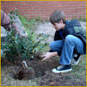 Washington County student planting tree