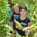 Wekiva students in their corn field