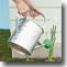 small photo of watering can