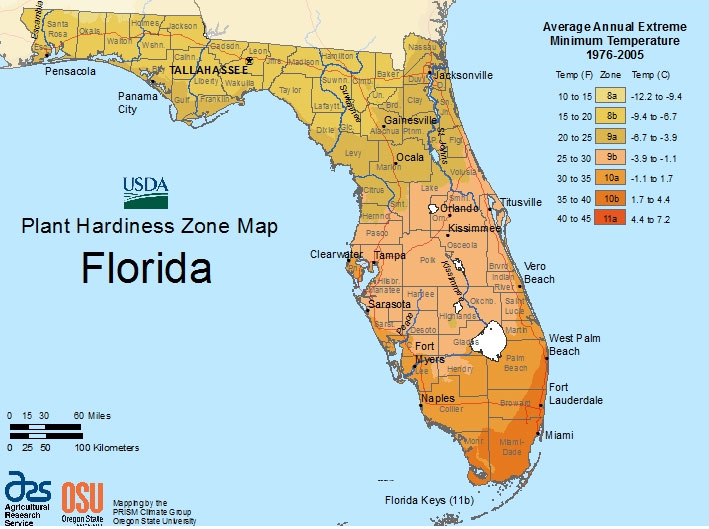 New 2012 USDA Plant Hardiness Zone Map for Florida