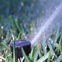 sprinkler head spraying water on lawn