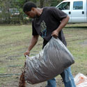 man spreading mulch