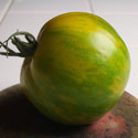 Green zebra tomato