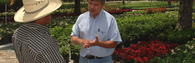 Extension agent talking with nursery owner