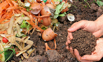 A pair of hands holding rich soil near a pile of kitchen scraps like eggshells and potato peelings