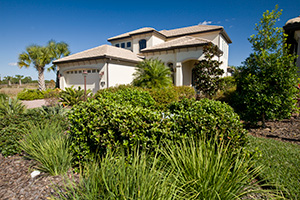 Street view of a Florida home landscape with lots of shrubs and ornamental grasses