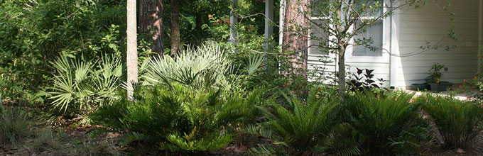 Florida-Friendly Landscaping™ Program - University of Florida