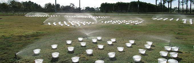 Calibrating sprinklers on campus, photo by Michael Gutierrez, UF/IFAS