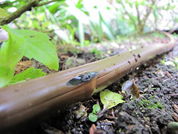 Close view of copper tube with a tiny opening along it to let out water