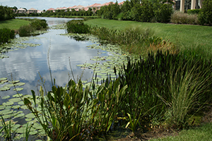 A waterway in front of a row of McMansions