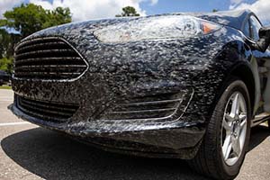 Dead bugs cover the front of a black car