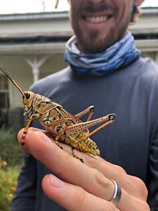 Huge yellow and black grasshopper on a smiling man's hand