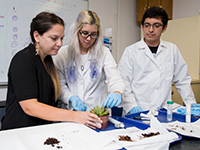 Professor working with students in a plant diagnostics lab