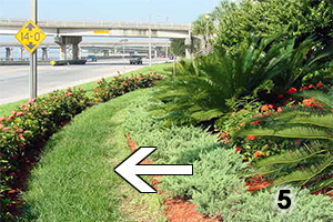 photo 5 is of a highway landscape area, sloped, with many plants and a two-foot wide strip of turfgrass that must be impossible to mow