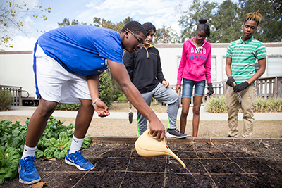 Four teenagers in a raised bed garden, one is watering seedlings while the others look on