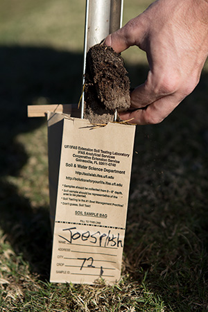 Soil Sample Bag, Pre-Cut - Agvise Laboratories