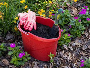 A red bucket full of dark potting soil with a pair of pink gardening gloves draped over the bucket's edge