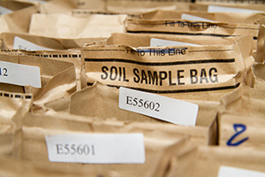 A group of filled soil kit bags with ID labels on each
